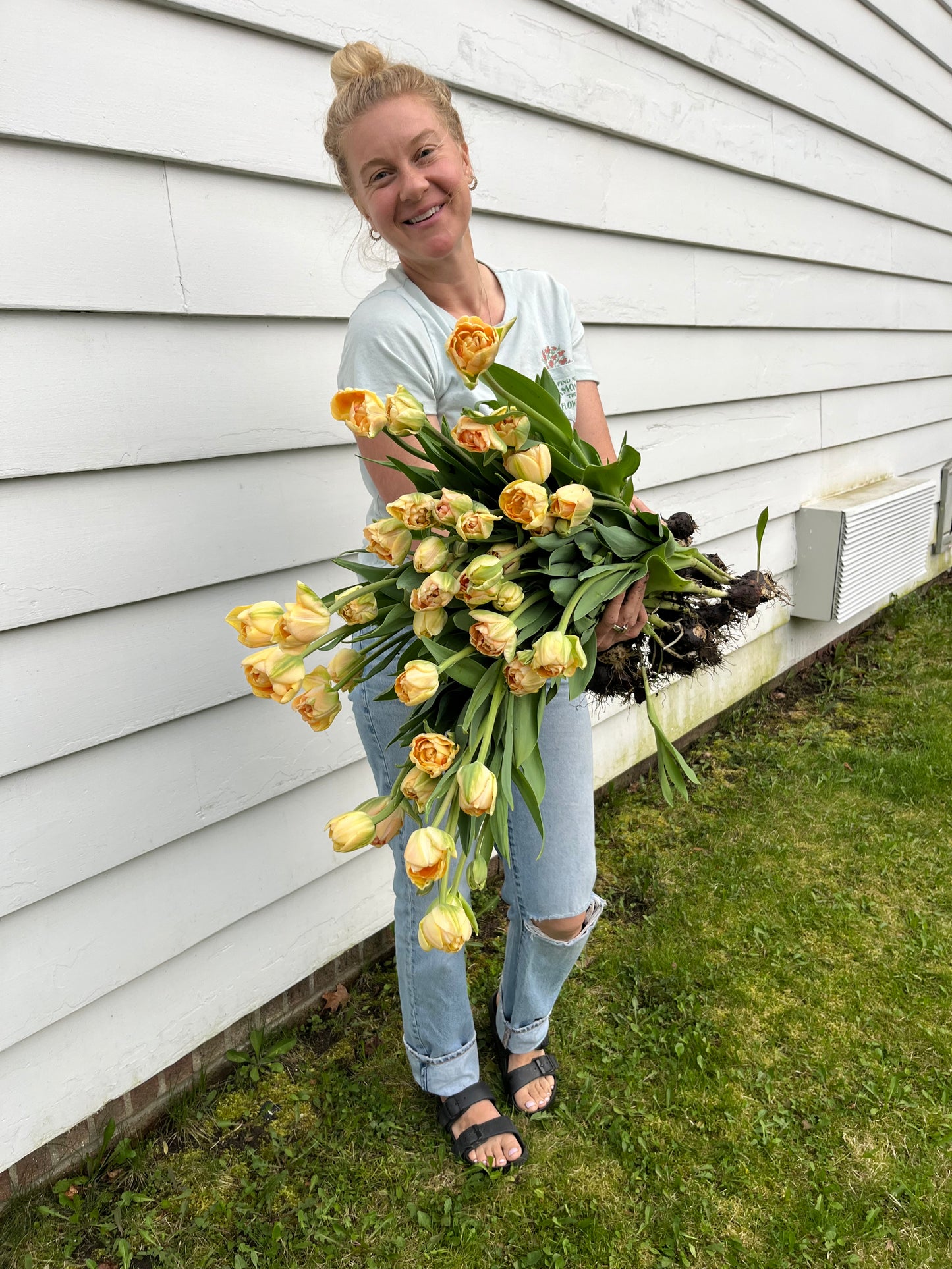 Tulip Charming Beauty