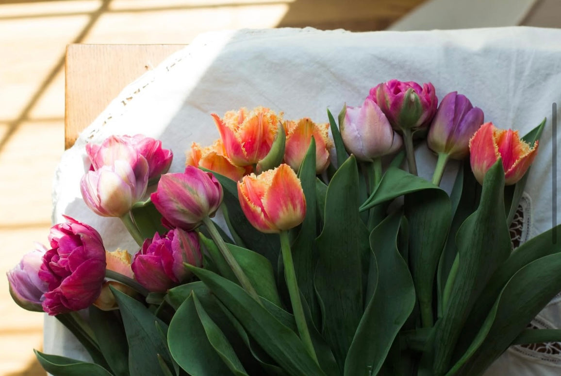 The (Sir) Winston - Mother's Day Pre-Order
