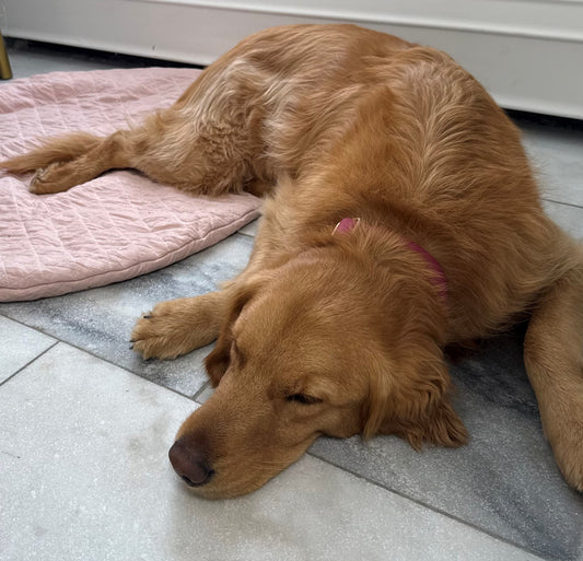 The Ramona - Mother's Day Pre-Order