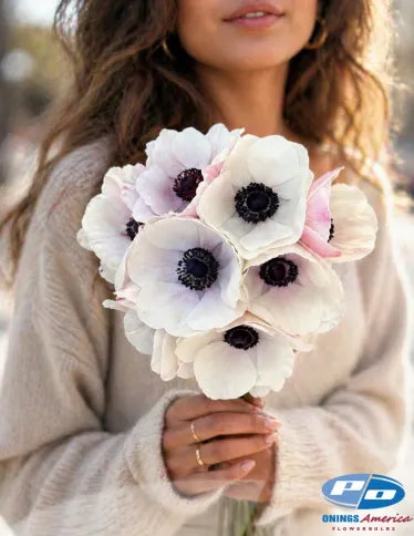 Anemone Mistral Plus Panda Bianco