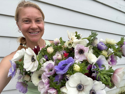 Anemone Carmel White