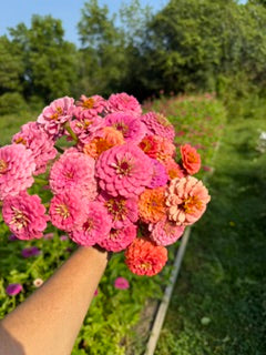 U-Pick Flower Experience at Endress Acres