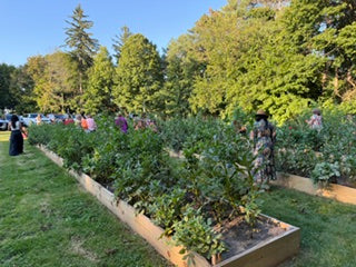Dinner in the Dahlias: A Fall Event