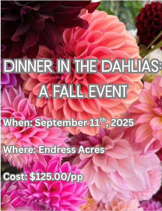 Dinner in the Dahlias: A Fall Event