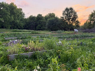 U-Pick Flower Experience at Endress Acres