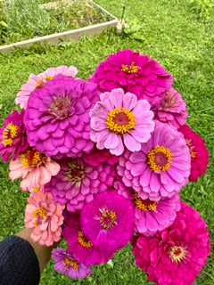 U-Pick Flower Experience at Endress Acres