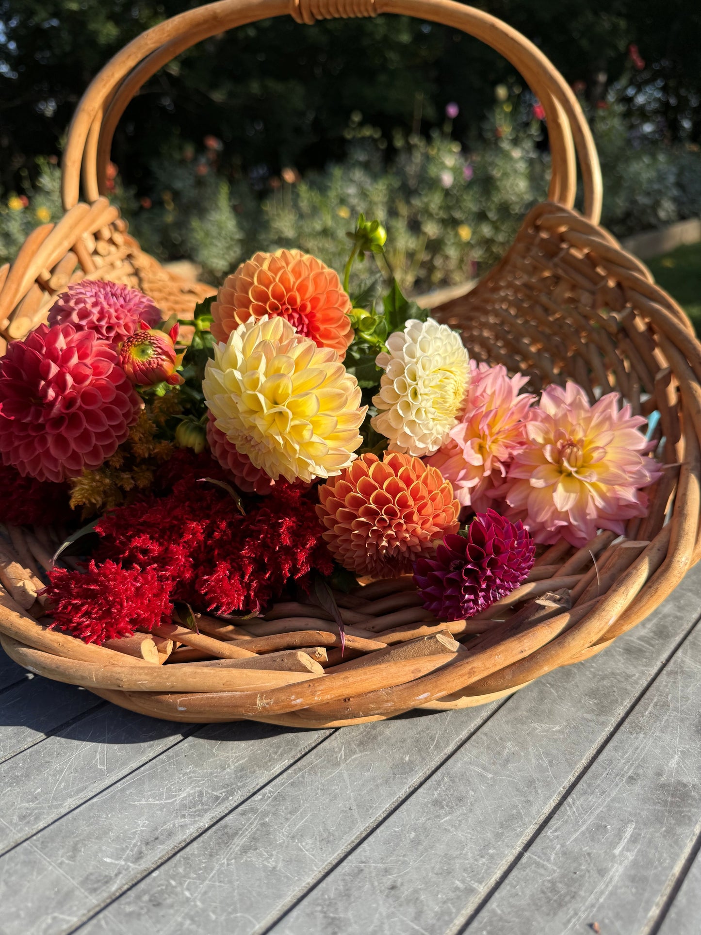 Endress Acres Punch Card